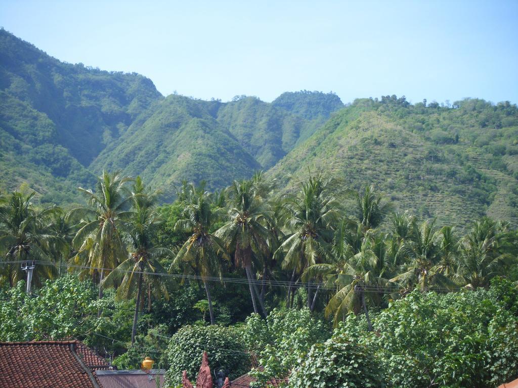 De Adema Guesthouse อาเม็ด ภายนอก รูปภาพ